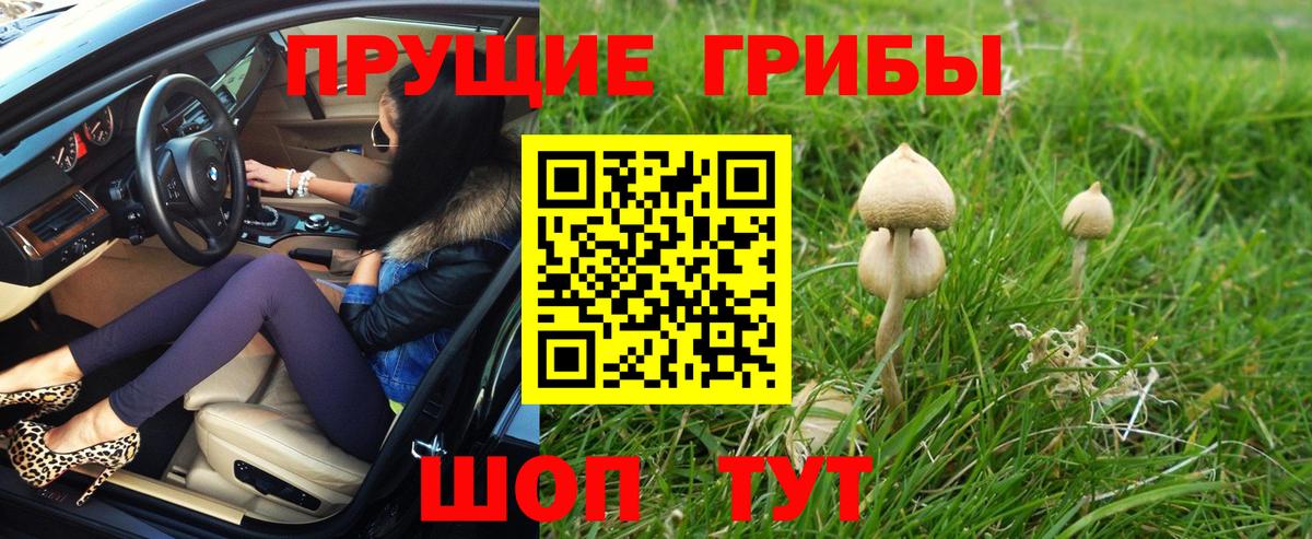 Псилоцибиновые грибы мицелий  Вход с VPN  Коммунар 