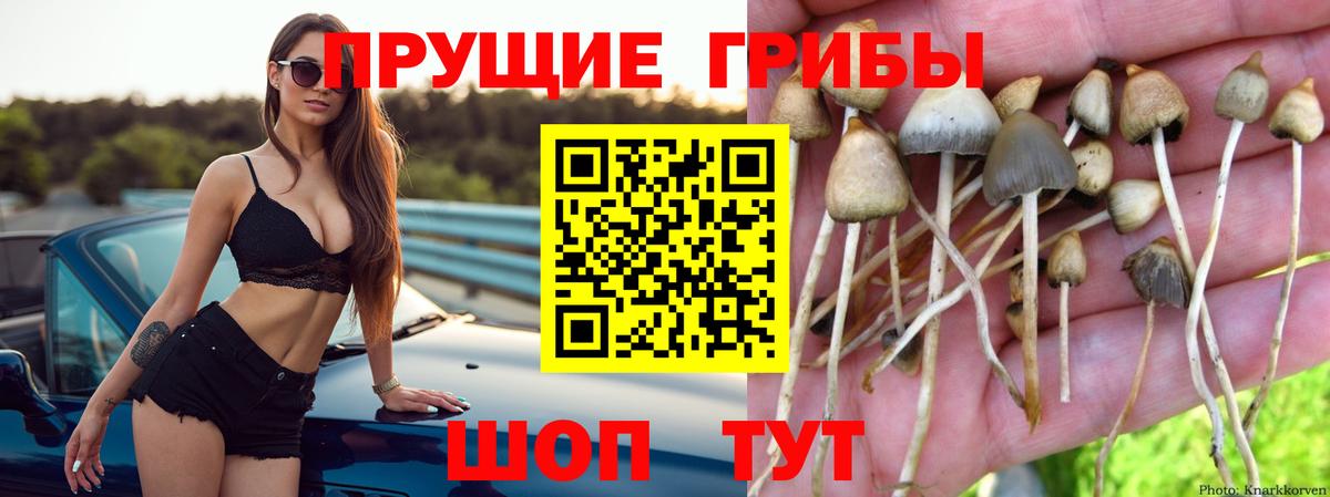Псилоцибиновые грибы мухоморы Коммунар